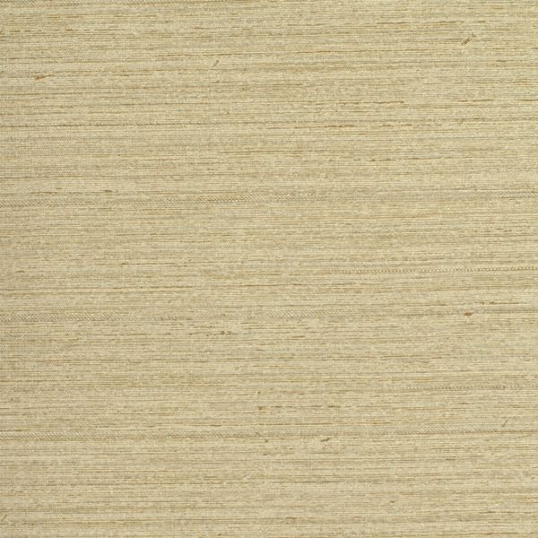 Silvery Birch